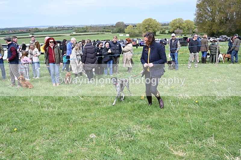 WJ6_8345 - Class 4 Prettiest Bitch