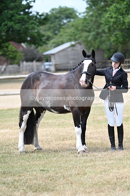 WJ7_1869 - Class 4a Prettiest Mare 14.2hh and over hand