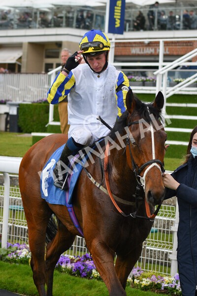 yr22052021r6-41 - Race 6 4.55pm Reg Bond