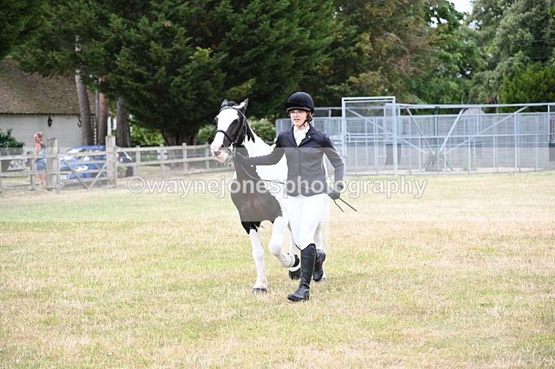 WJ6_4257 - Class 10 Coloured In-hand