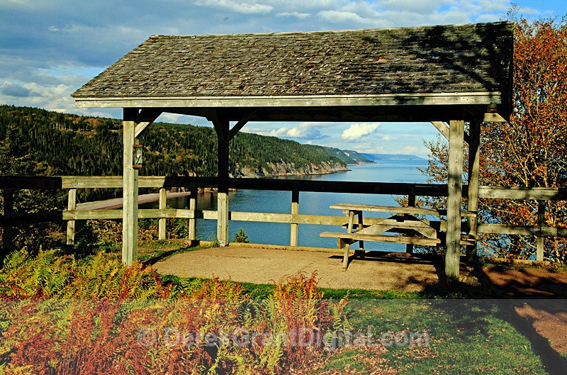 Fundy Trail Vista