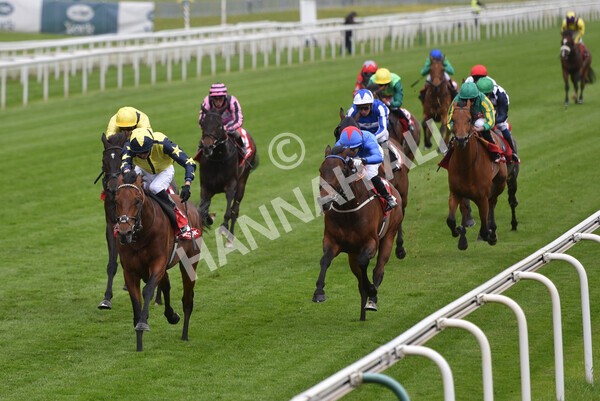 yr14052021r3-20 - Race 3 2.40pm The Matchbook Best Value Exchange Stakes