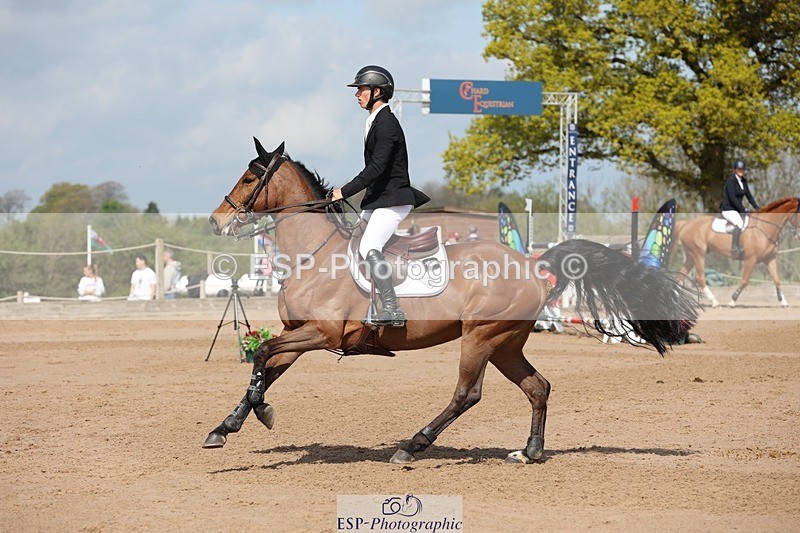 250427-105630-15707 - Cls 36 Young Horse 7yr old