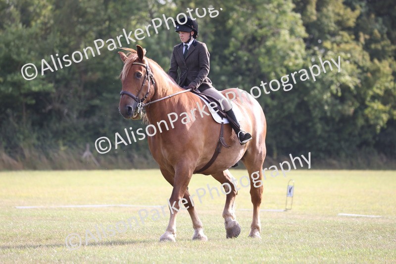 20250731-0569 - Class 1 - Intro 4