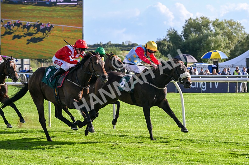 080926-Race 6-Filey Beach-3129 - Race 6 4.46pm Download The Raceday Ready App Handicap