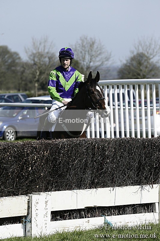 PtP 260317 35 - Mendip Farmers Point-to-Point Ston Easton 26/03/17