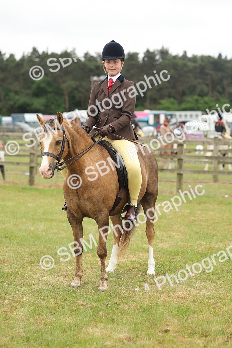 SBM_07127 - Class 76-77 - Ridden M&M Welsh Ponies
