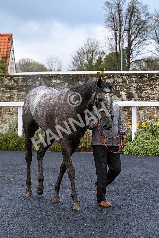  - Race 6