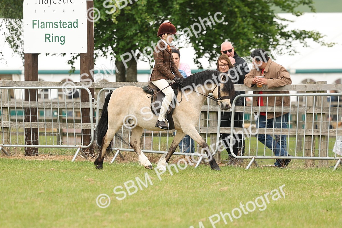 SBM_07089 - Class 76-77 - Ridden M&M Welsh Ponies
