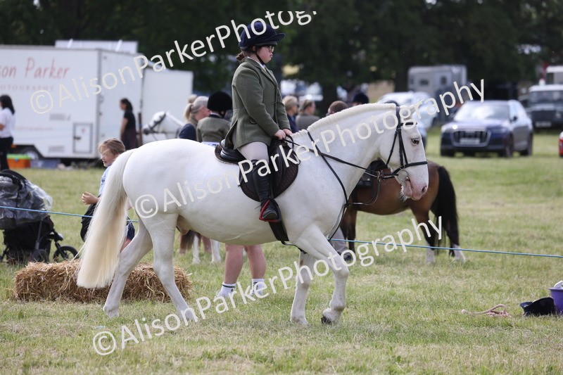 20260614-0793 - Class 20 - Beginners Working Hunter Pony