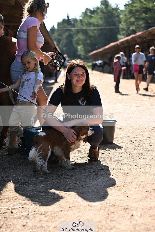 240729B-092645-01794 - Monday Stable Shots