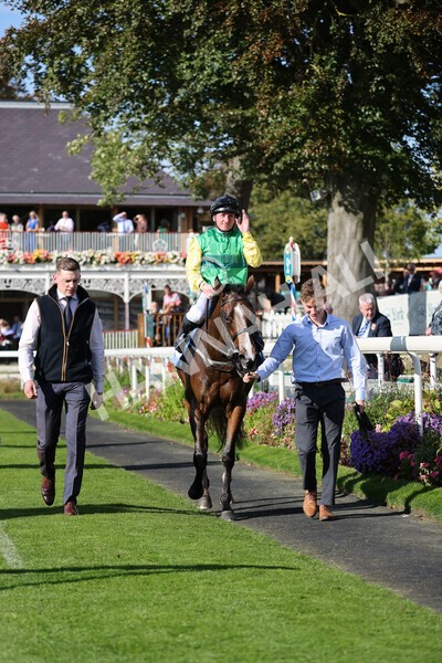 yr08102021r2-32 - Race 2 2.40pm Racing to School EBF Novice Stakes