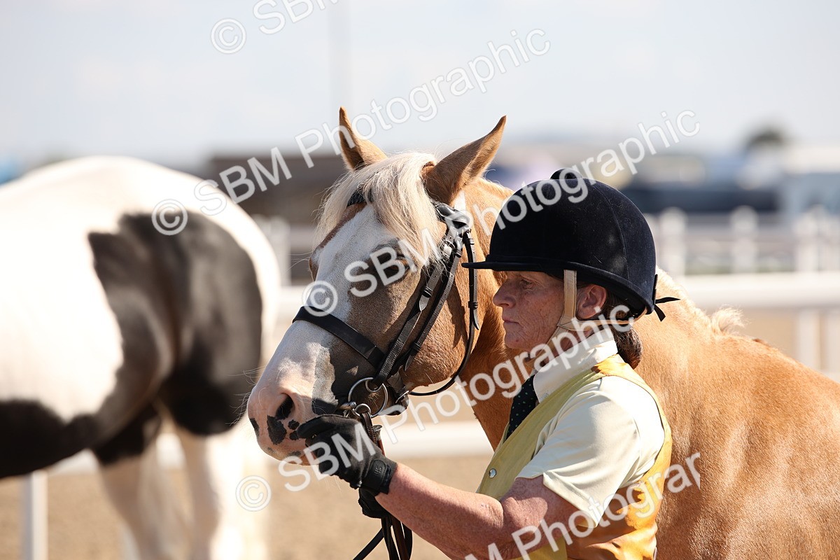 SBM_01539