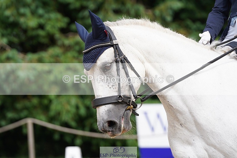 240721-154552-10150 - 173-Polly_Vogel-Loughamore_Lady