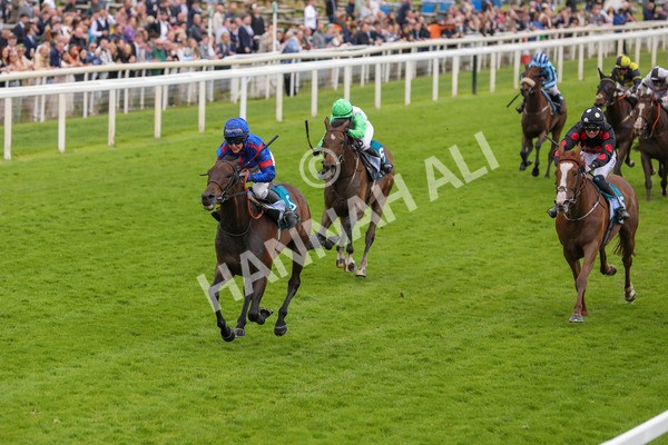 150624-Race 1-Lord Melbourne-6064 - Race 1 1.50pm Queen Mother's Cup Handicap