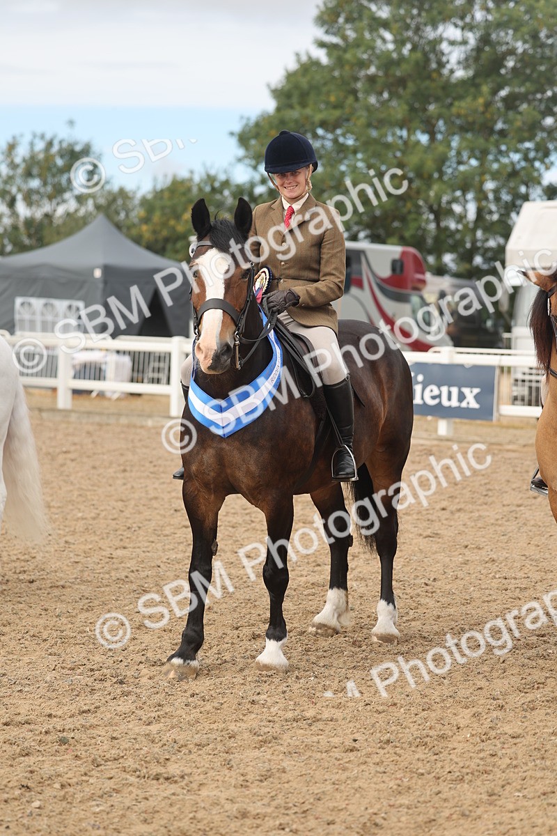 SBM_02030 - Class 14 - Ridden M&M Wildcard