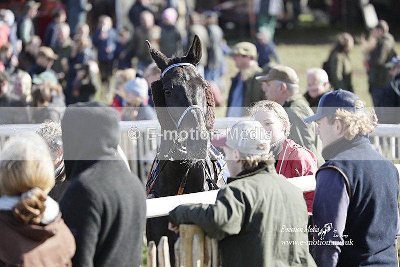 PtP 100423 979 - Old Berkshire Point-to-Point Lockinge 10/04/23