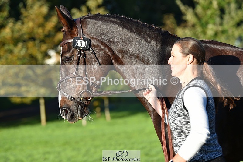 231022-092656-21797 - 690-JAZZ.QUARTET-Louise.Turner-smith-TrotUp+SJ