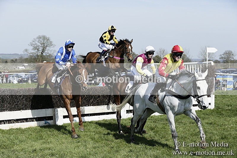 PtP 260317 112 - Mendip Farmers Point-to-Point Ston Easton 26/03/17