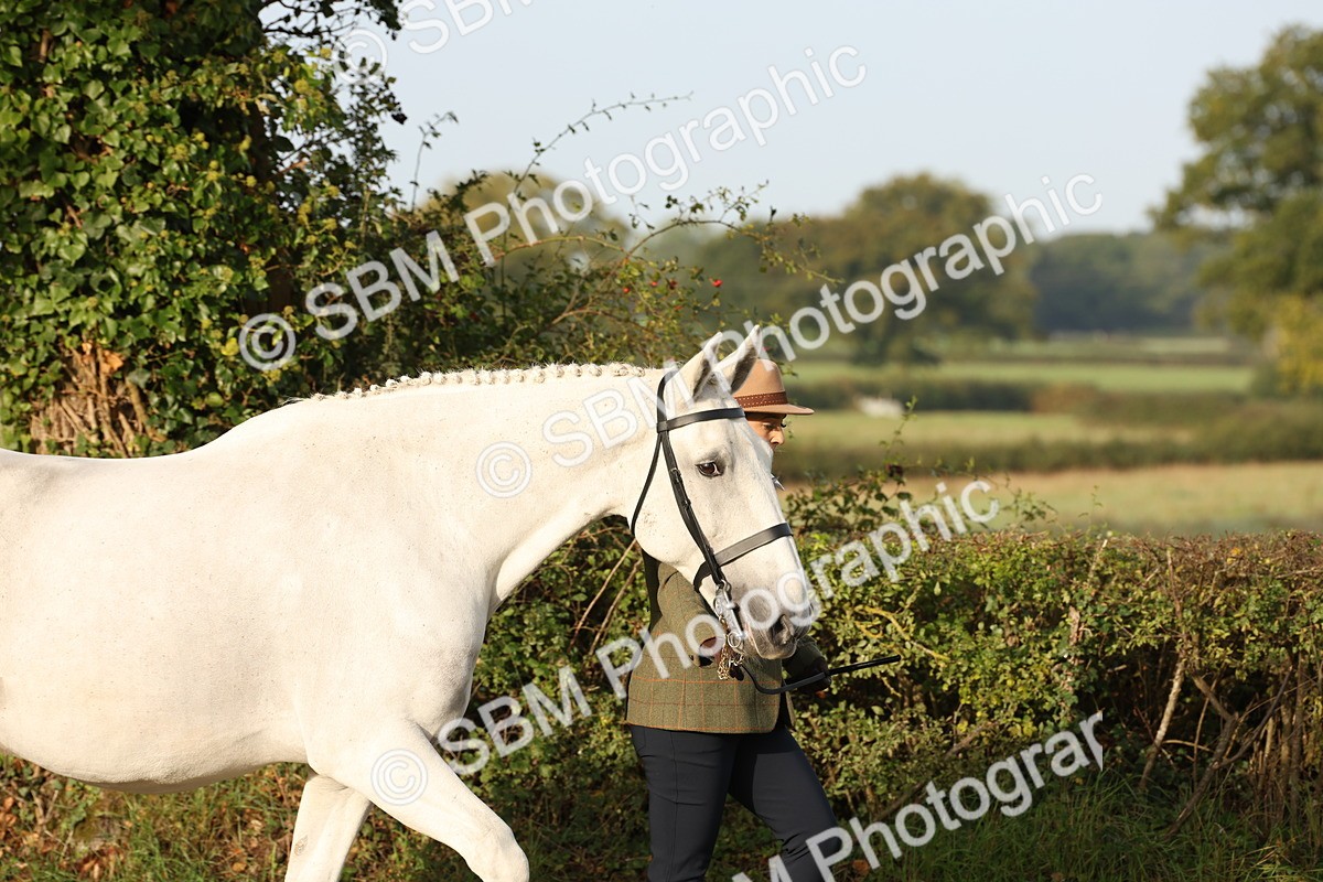 SBM_54657 - S53 - Hunter In Hand