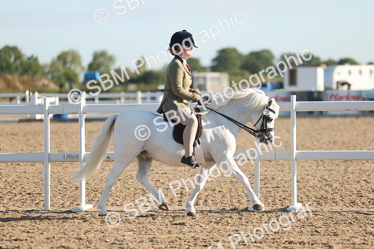 SBM_10895 - Class 301 - Ridden M&M Small Breeds