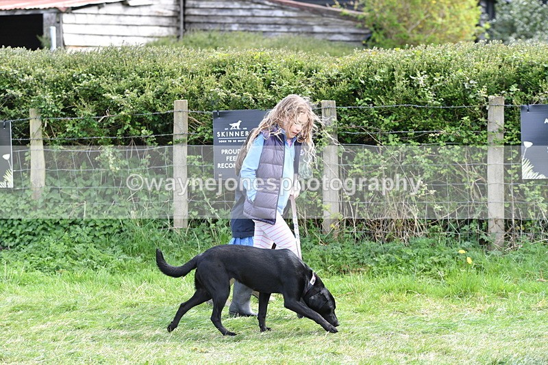 WJ5_0743 - Best in Show Championship