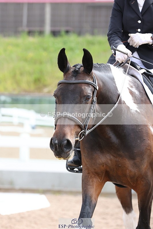 240621A-111252-00399 - Cls 9 BD Music Elementary