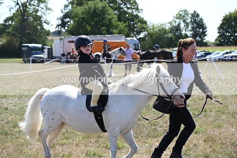 WJ6_7895 - Class 36 Lead Rein