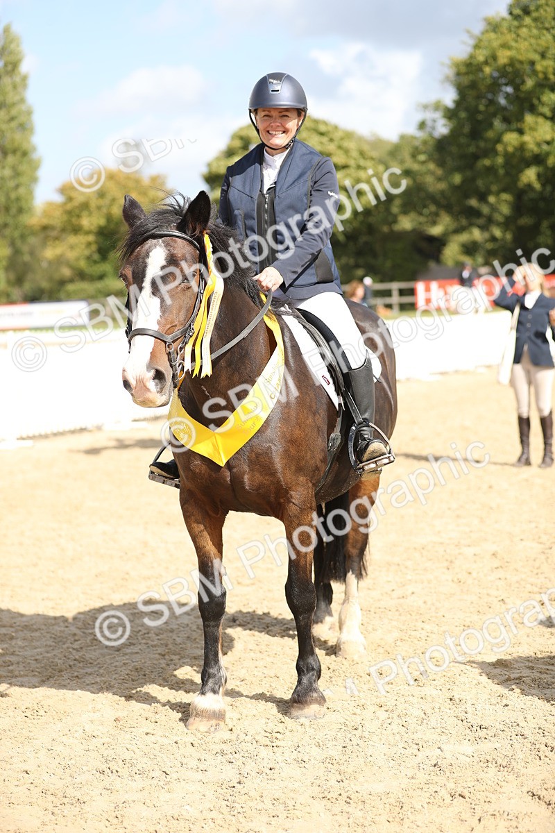 SBM_06520 - J29 - Senior Horse & Pony 65cm Championship