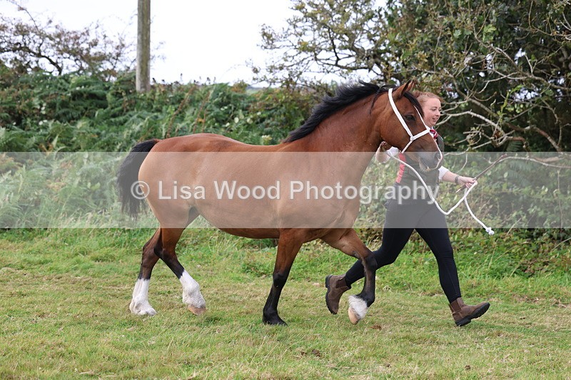 3E7A4565 - Class 16: Best Grass Kept