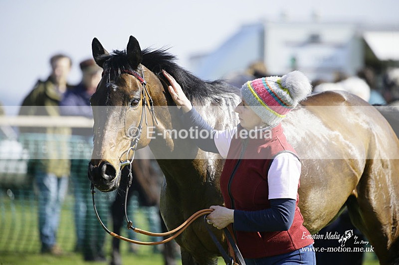 PtP 190322 429 - Wilton Hunt PtP Milborne St Andrew 19/03/22
