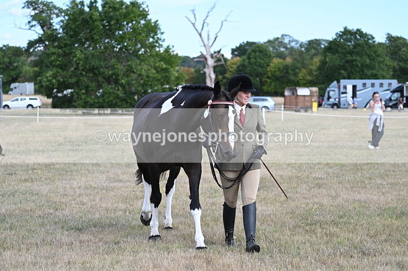 WJ7_8309 - In-hand Championship
