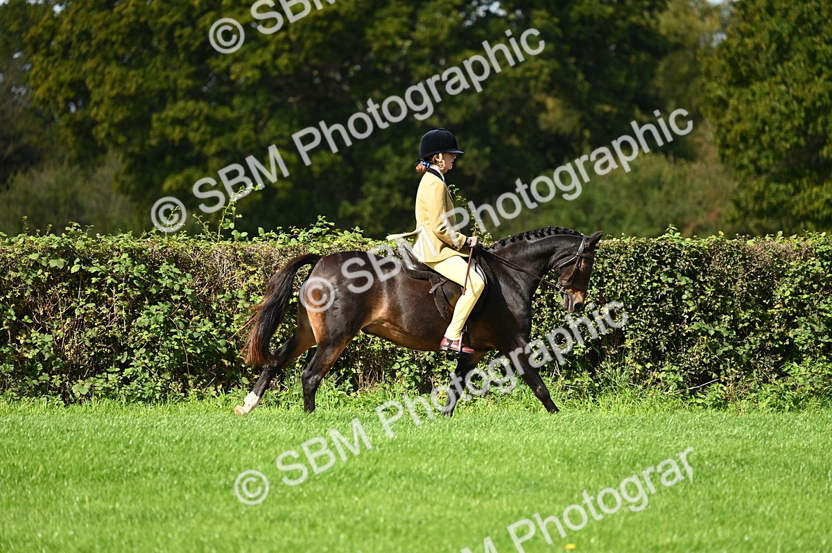 SBM_02678 - S3 - TSR Ridden Pony Showing