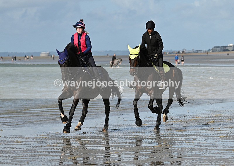 WJ7_4402 - Kellie & Churchill ... do Hayling Island 25-08-24