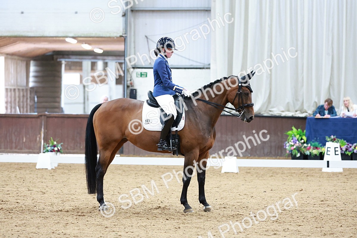 SBM_017895 - Class 15 - FEI Junior