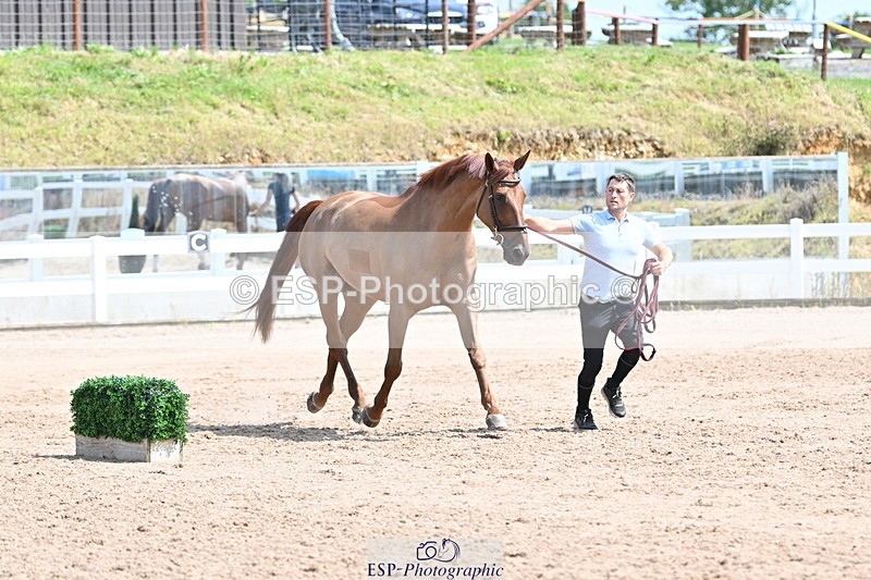 240717A-145948-02407 - Trot Up 2pm to 3pm - This folder is not in time order