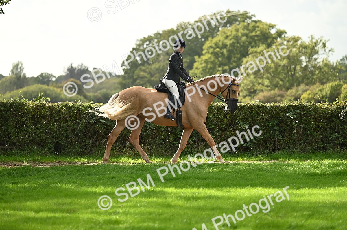 SBM_26310 - S6 - Novice & newcomer Ridden horse