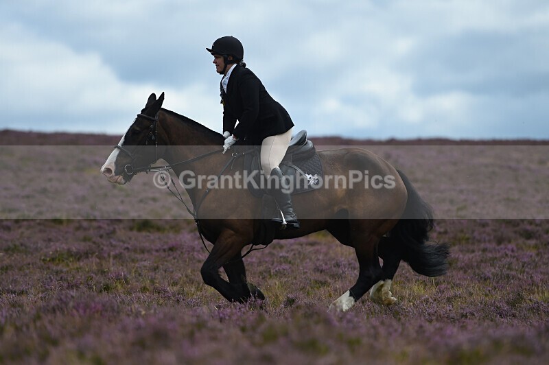 _137 - Lauder Common Riding 2025