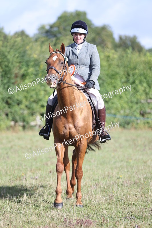 20250831-0950 - Class 14 - Ex Racehorse