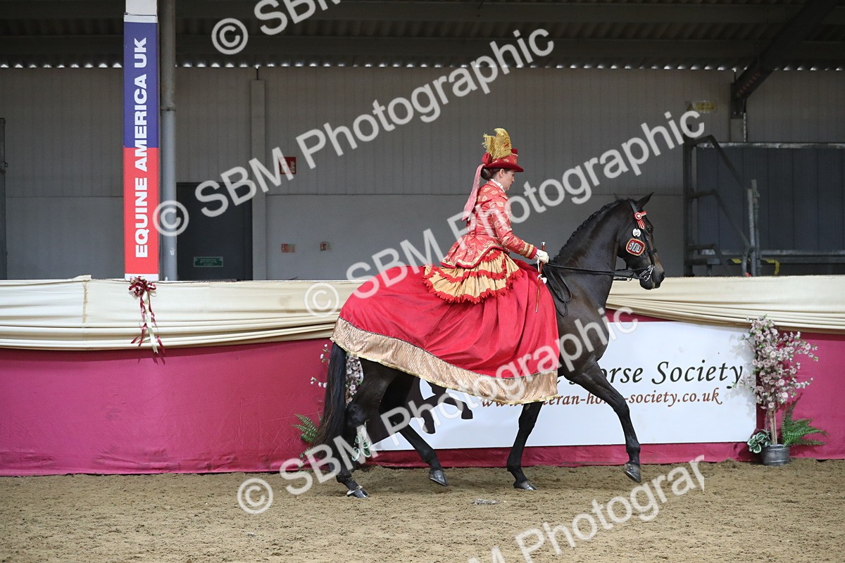 SBM_12104 - Class 107 Ridden Costume- Astride Adult (20+)