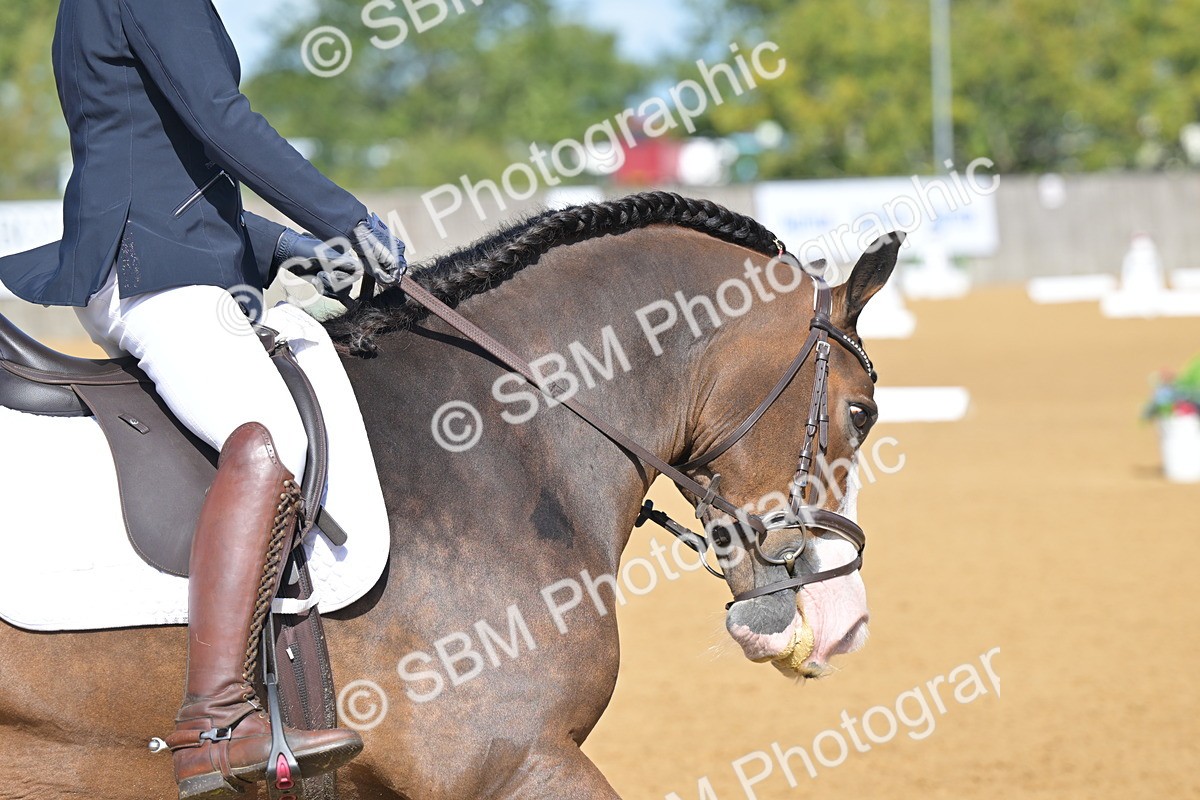 SBM_03930 - D2 - Small Tour Championship Intro 2