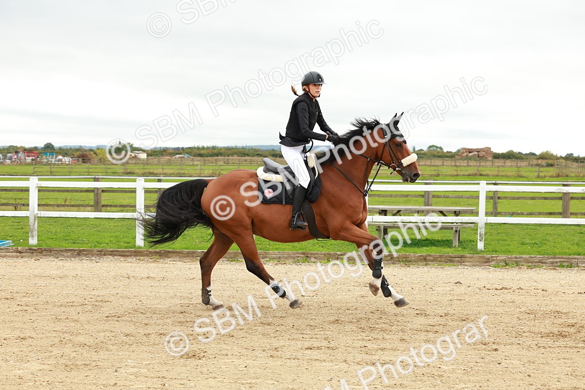 1I0A6879 - Class 2 - Senior British Novice
