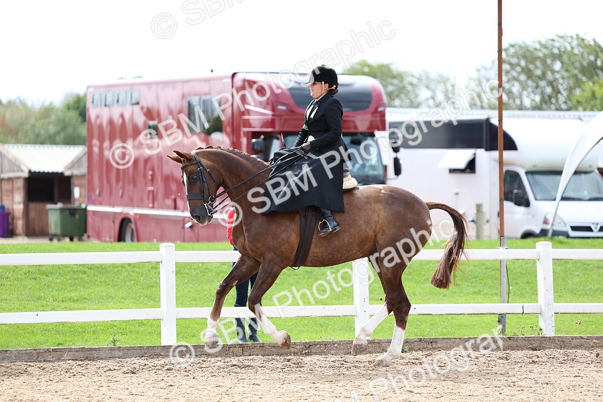 SBM_03327 - Class 23 - SSA Classical (any age)