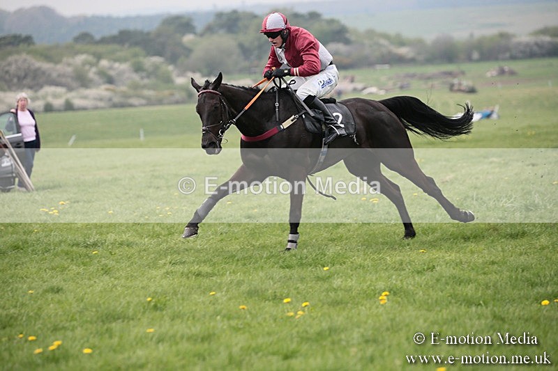 PtP 210418 118 - South & West Wilts Point-to-Point Larkhill 21/04/18