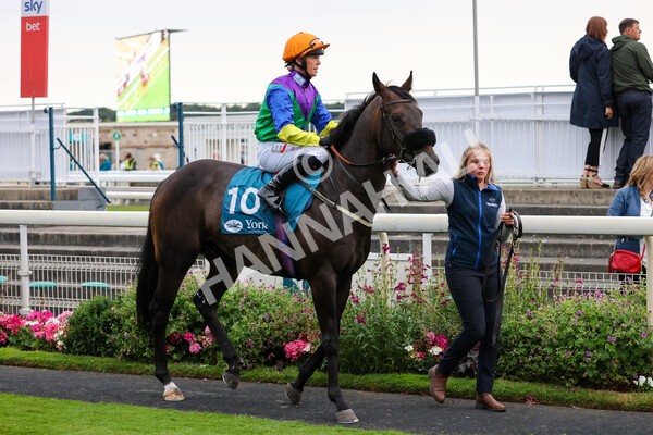 yr22072022r7-17 - Race 7 8.25pm The Sky Bet Go-Racing-In-Yorkshire Summer Festival Stakes