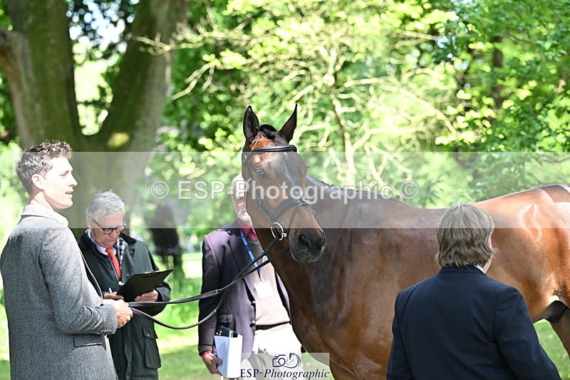 250521A-154125-00695 - B-351-Will.Rawlin-MACKENZY