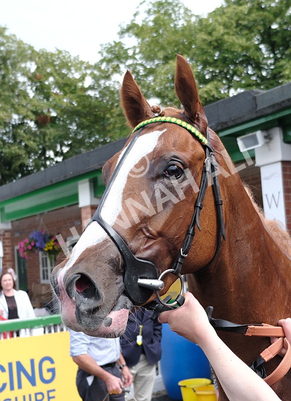 260724-Race 3-Lovat Scout-10 - Race 3