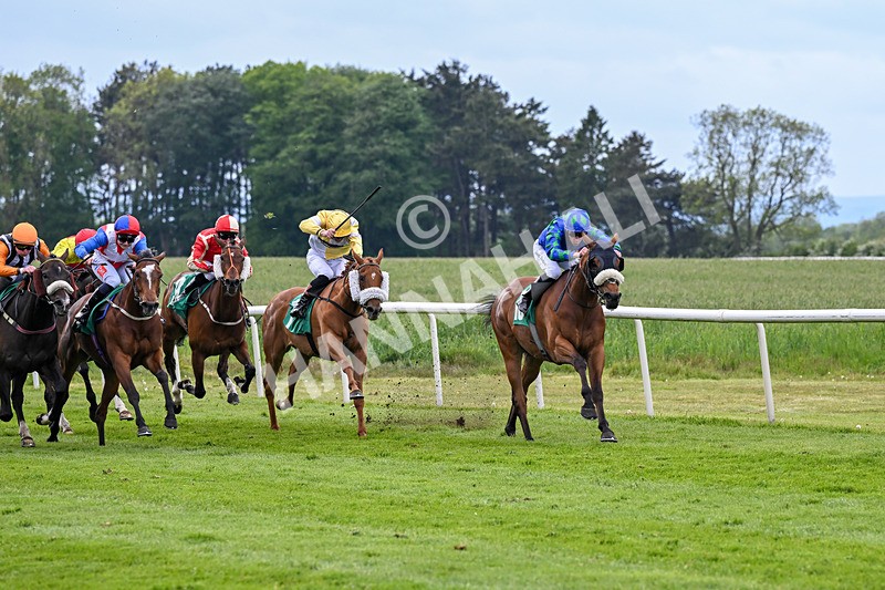 160526-Race 5-Military Leader-9812 - Race 5 4.12pm Sky Bet Extra Places Handicap
