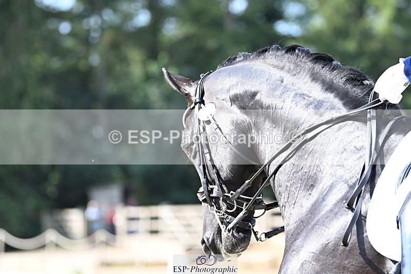 250810A-100651-05027 - 132-Rebecca.CowderoyNights.Dream