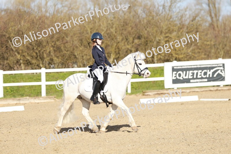 20260314-4514 - DR4 - Prelim 2